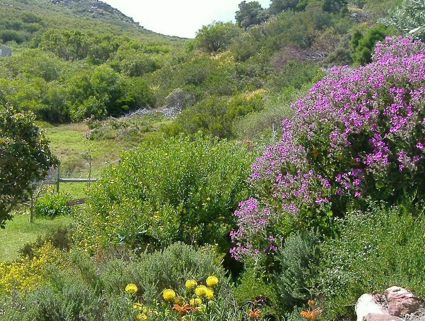 Makapa Lodge Cape Town