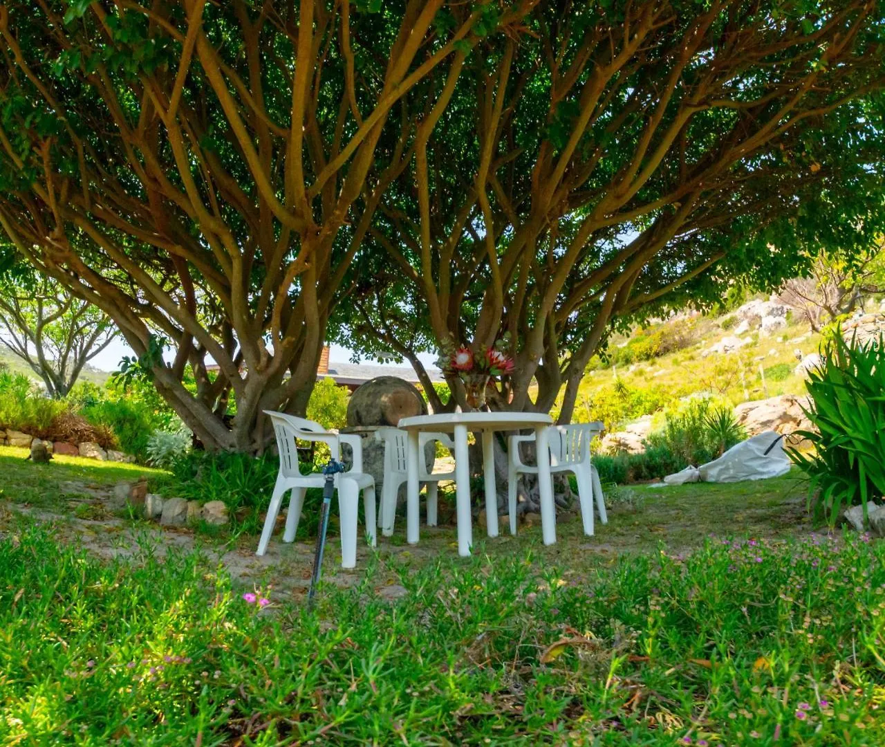 Makapa Lodge Cape Town